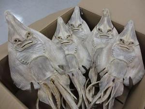 日記 世界で話題になったオモシロ画像